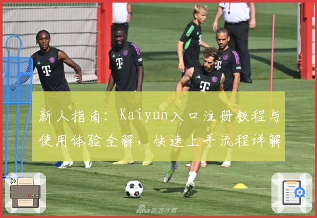 新人指南：Kaiyun入口注册教程与使用体验全解，快速上手流程详解
