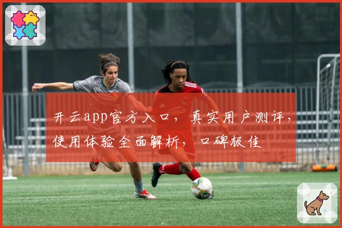 开云app官方入口，真实用户测评，使用体验全面解析，口碑极佳